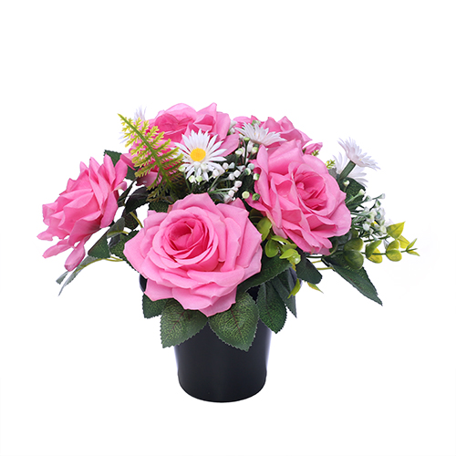 Pink Rose White Daisy Memorial Grave Pot Titleys Flowers / Direct