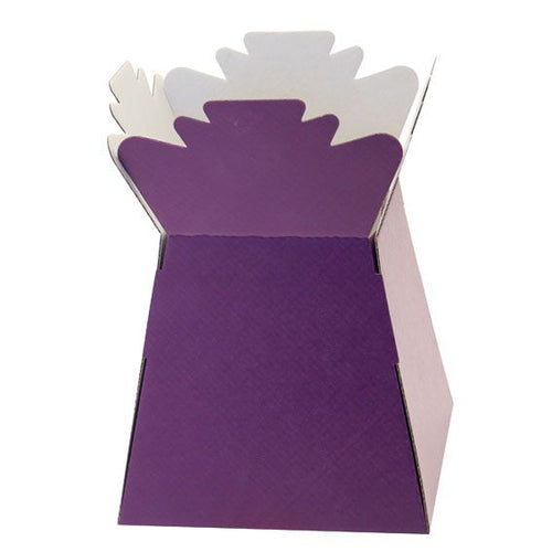 30 x Purple Living Vase - Aqua Box