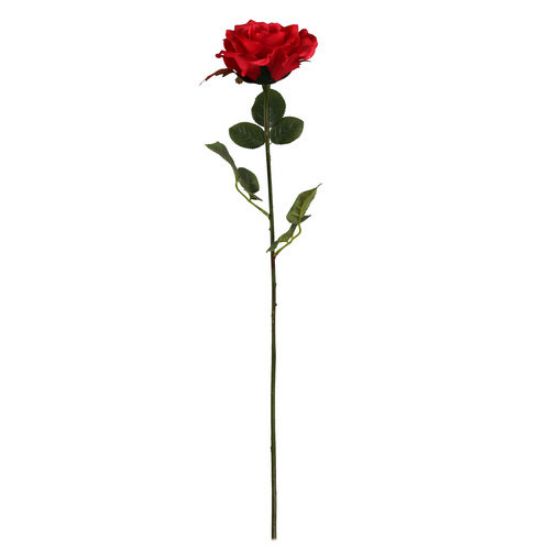 68cm Elegance Red Rose Stem