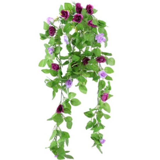 86cm Trailing Spring Rose Bush Lilac/Purple Titleys Flowers / Direct