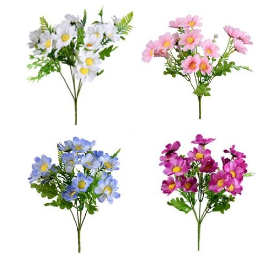 48 X 30cm Cosmos Bush - Assorted Colours - Full Box