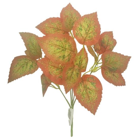 30cm Coleus Bush Red/Green Foliage Greenery