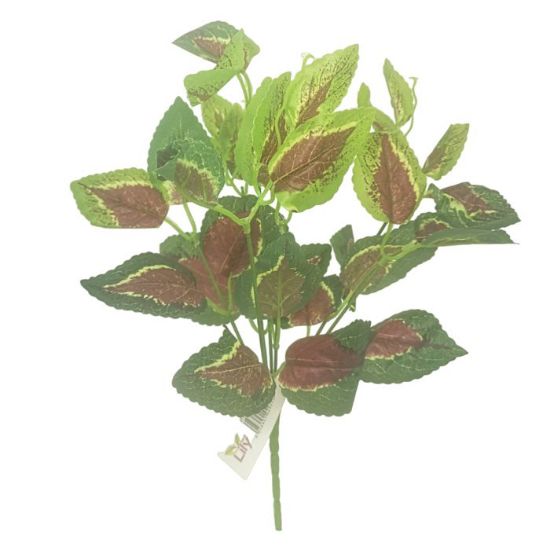 32cm Coleus Bush Green/Red Foliage Greenery
