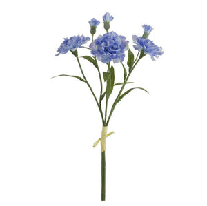 40cm Blue Carnation Bundle with Raffis Tie (3 Stems)