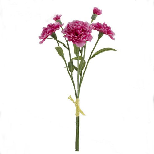 40cm Beauty/Cream Carnation Bundle with Raffis Tie (3 Stems)