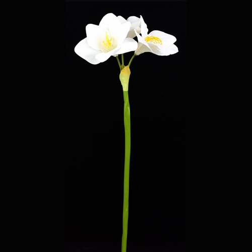 75cm White Amaryllis Single Stem - Christmas