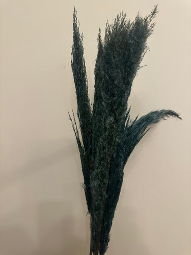 FLASH SALE PRODUCT - 60cm Pampas Grass - Turquoise (3 Stems)