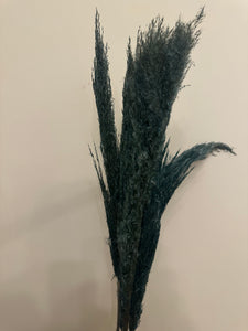 FLASH SALE PRODUCT - 60cm Pampas Grass - Turquoise (3 Stems)