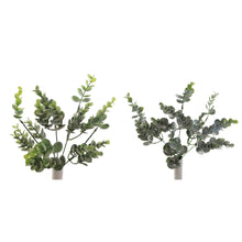 Load image into Gallery viewer, 48 x 36cm Plastic Eucalyptus Bunch - Mixed Silver Frosted - Full Box