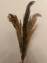 Load image into Gallery viewer, FLASH SALE PRODUCT - 60cm Pampas Grass - Natural Beige (3 Stems)