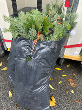 Load image into Gallery viewer, Bag of English Spruce Cuttings - Click and Collect Only