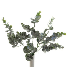 Load image into Gallery viewer, 48 x 36cm Plastic Eucalyptus Bunch - Mixed Silver Frosted - Full Box