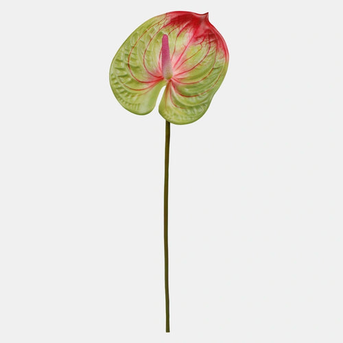 62cm Green/Red Anthurium Single Stem - Artificial Flower