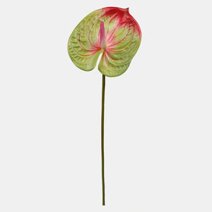 62cm Green/Red Anthurium Single Stem - Artificial Flower