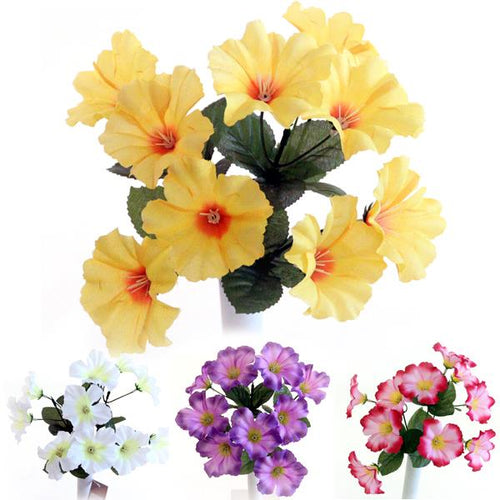 48 X Petunia Bunch - Assorted Colours - Full Box