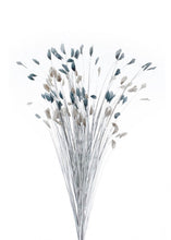 Load image into Gallery viewer, 24 x MIXED FULL BOX Silver Grass with Grey, Green, Navy &amp; Blue Tips - BULK BUY