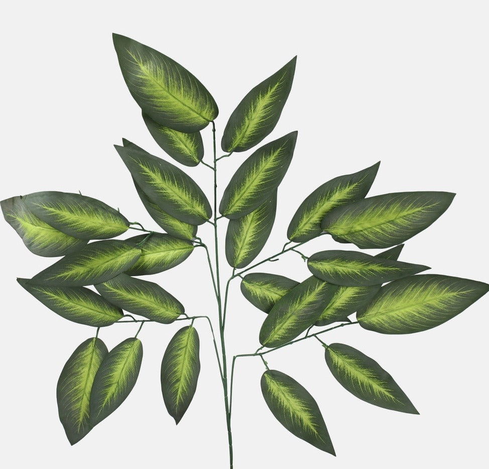 1 x 70cm Diffenbachia Branch Green Foliage Greenery - Single Stem