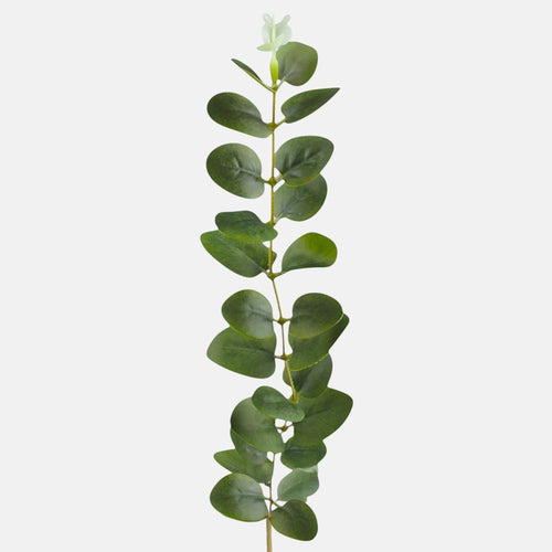 Bundle of 12 x 51cm - Green Eucalyptus Single Stem Greenery