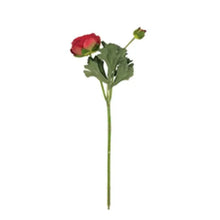 Load image into Gallery viewer, 30cm Ranunculus Burgundy - Single Stem