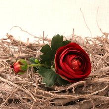 Load image into Gallery viewer, 30cm Ranunculus Burgundy - Single Stem