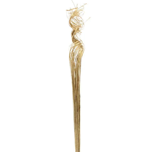 60cm Bundle of Gold Ting Ting - Dried Christmas
