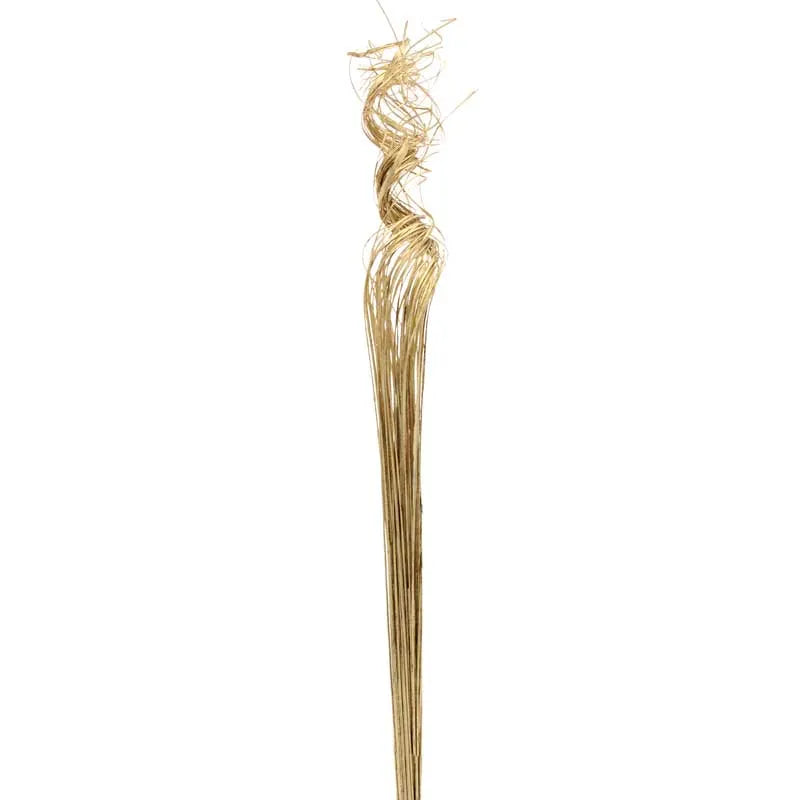 60cm Bundle of Gold Ting Ting - Dried Christmas