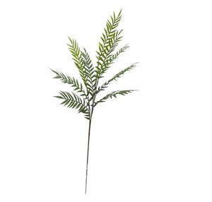 80cm Artificial Hottentot Fern Single Stem Spray - Greenery