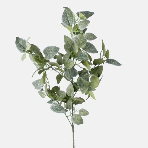 1m Fitonia Leaf Single Stem - Greenery