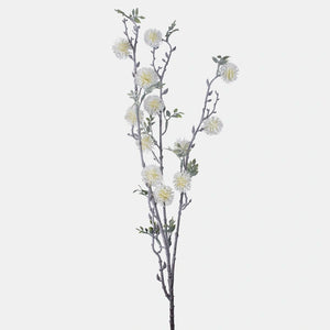 92cm White Buttonbush Branch Green Foliage Greenery - Single Stem