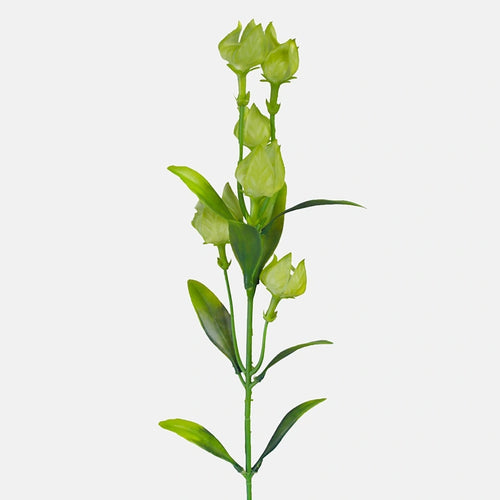 61cm Green Physalis Single Stem - Artificial Flower