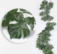 Load image into Gallery viewer, 1.6M Monstera Garland Green - Greenery Display Decoration