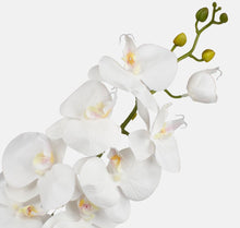 Load image into Gallery viewer, 100cm Artificial White Orchid - 9 Heads - Single Stem Wedding