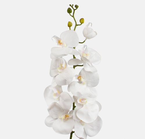 100cm Artificial White Orchid - 9 Heads - Single Stem Wedding