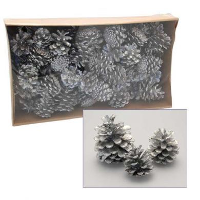 1kg Austriaca Silver Cones -  Floral Christmas Wreath Decoration