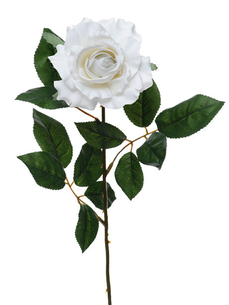 Premium Rose Medium White 69cm