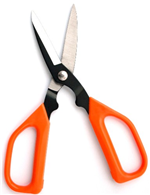 Floral Touch Carbon Bladed Scissors - Floristry Tool