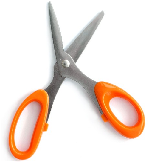 Floral Touch Electro Plated Scissors - Floristry Tool