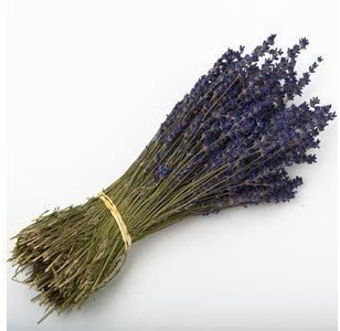 35cm Natural Dried Lavender Bunch