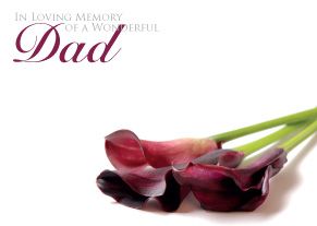 1 x Pack Large In Loving Memory of a Wonderful Dad Card - Funeral / Memorial Red Cala Lily Floral Design