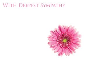 1 x Pack Large With Deepest Sympathy Card - Funeral / Memorial Pink Gerbera Floral Design