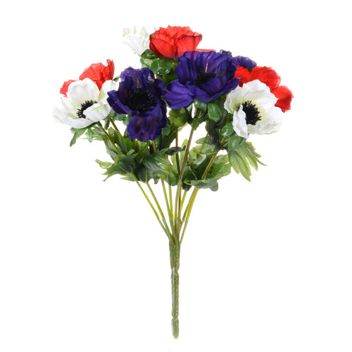 Anemone Bush - Red Purple White - 27cm