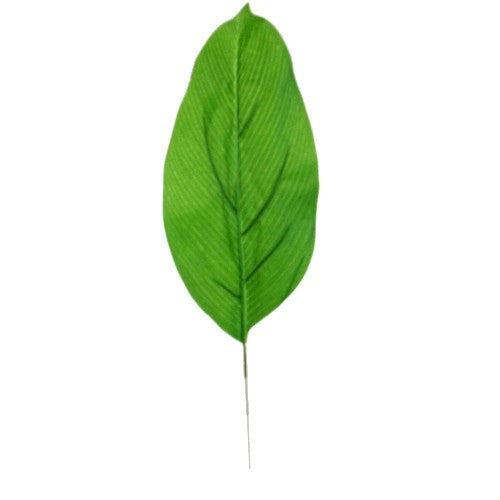 41cm Aspidistra Leaf X 12pcs Green