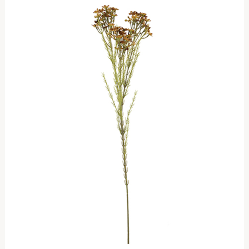 79cm Autumn Brown Dry Waxflower Spray - Artificial Flower