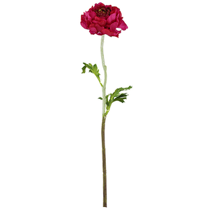 51cm Single Ranunculus Beauty Dark Pink - Artificial Flower