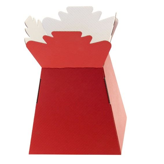 30 x Red Living Vase - Aqua Box