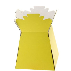 30 x Yellow Living Vase - Aqua Box