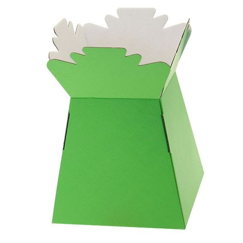 30 x Lime Green Living Vase - Aqua Box