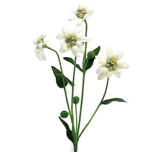 32cm Artificial Edelweiss Spray