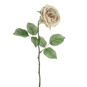 56 cm Cream Rose Stem