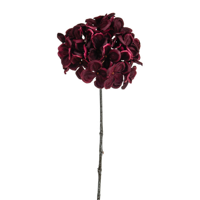 50cm Hydrangea Stem Burgundy